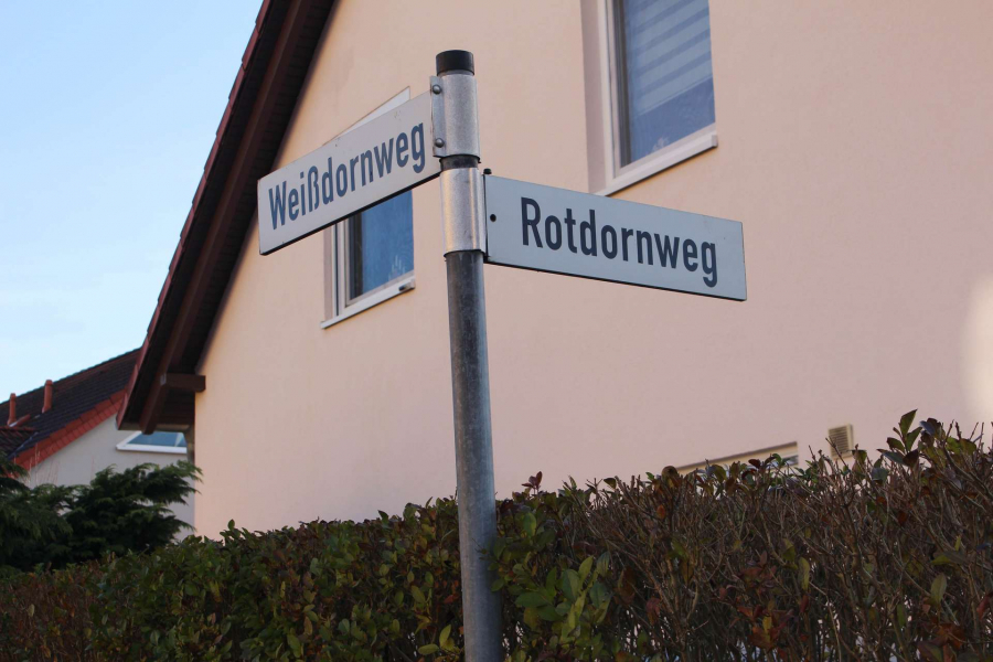 Die Lage