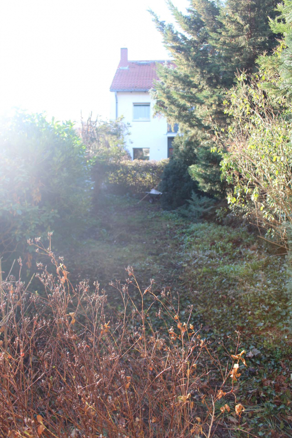 der Garten