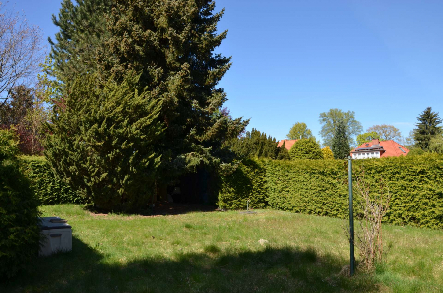 Der hintere Teil vom Garten